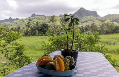 Matavera House | Hidden Haven - Group Retreat, Sleeps 7
