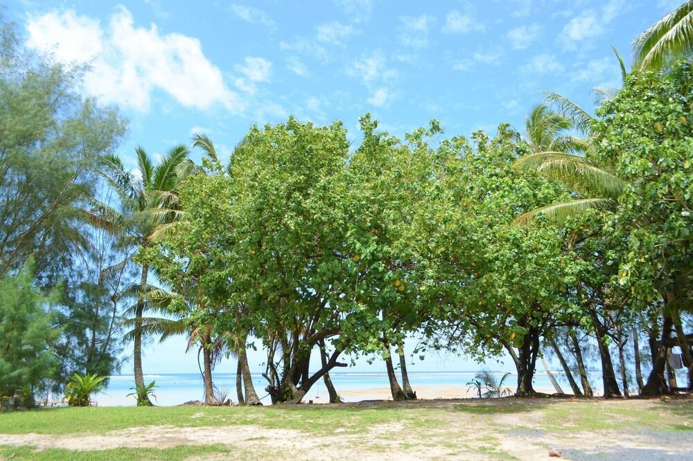 Photo of Outdoor in Takitumu District