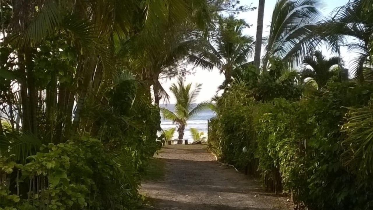 Photo of Outdoor in Arorangi