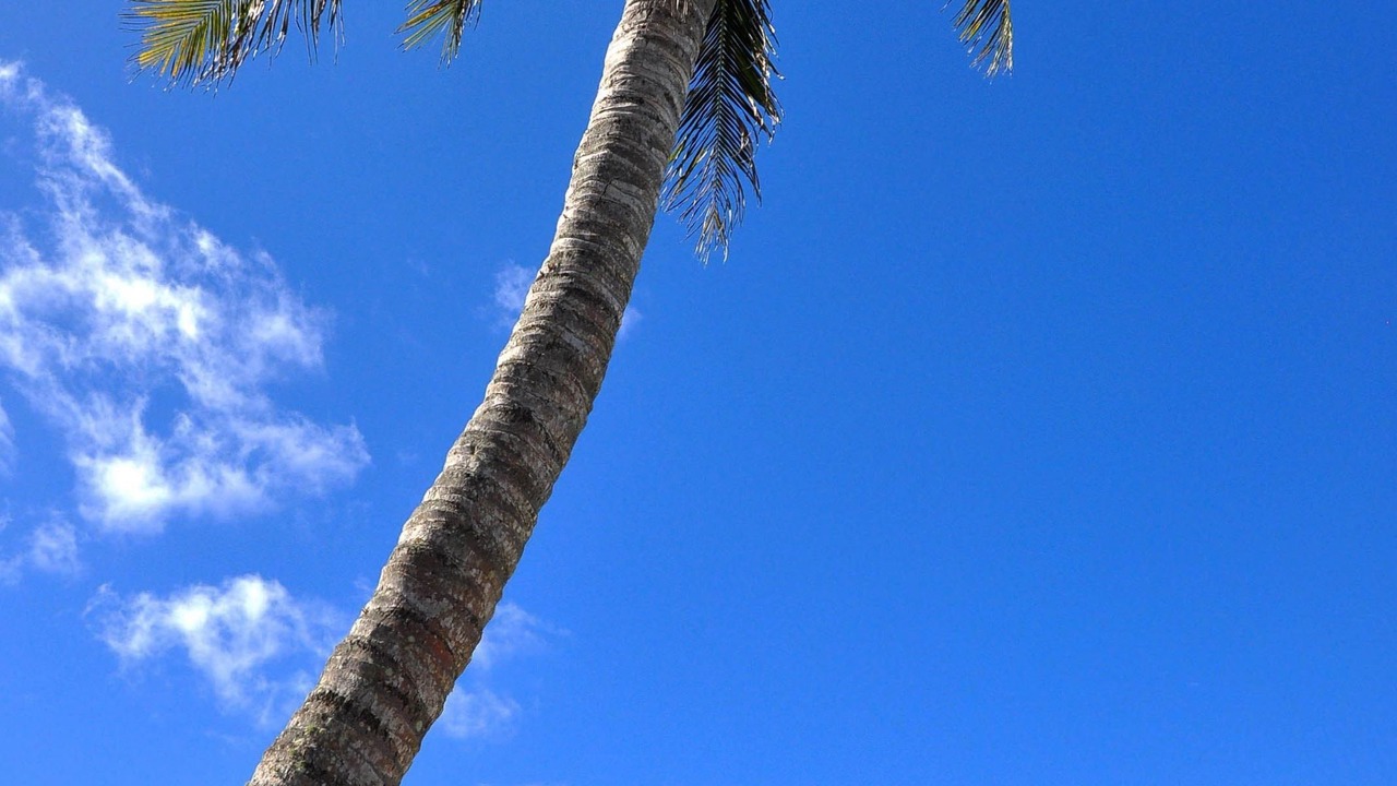 Photo of Outdoor in Muri