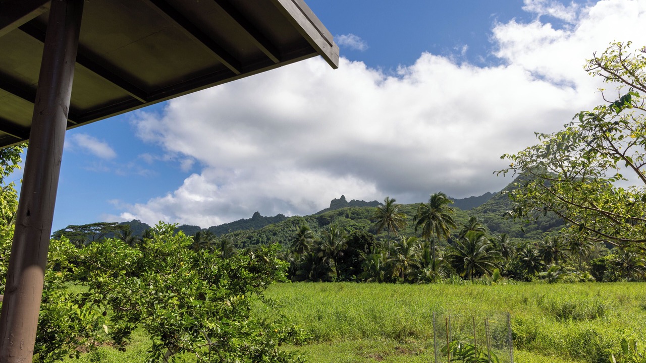 Photo of Outdoor in Matavera