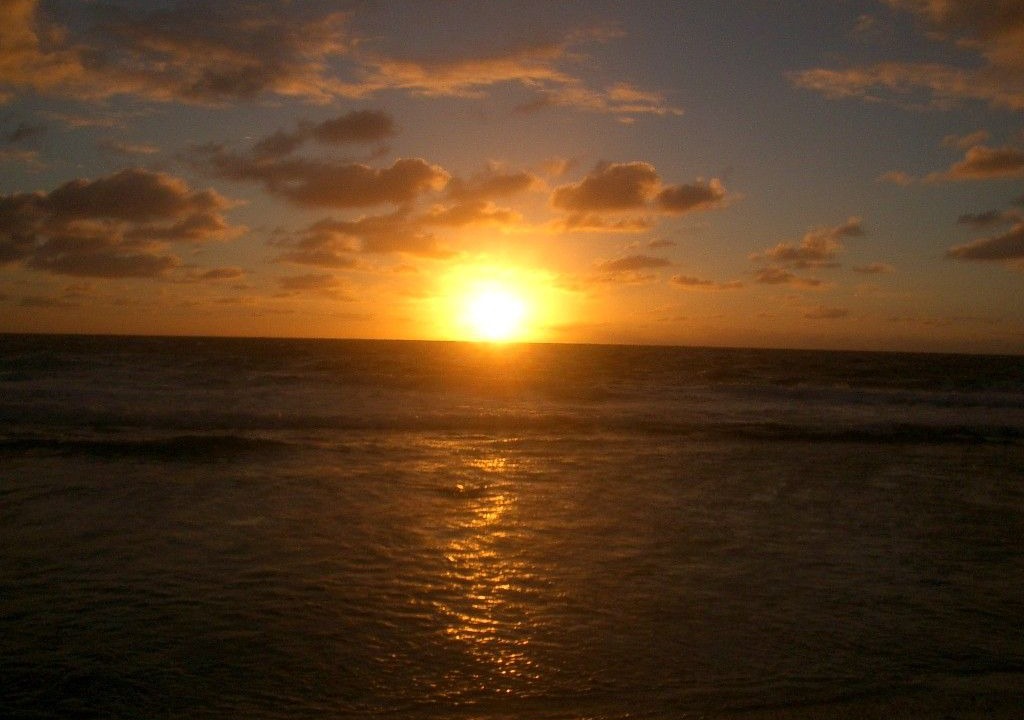 Photo of Others in Rarotonga