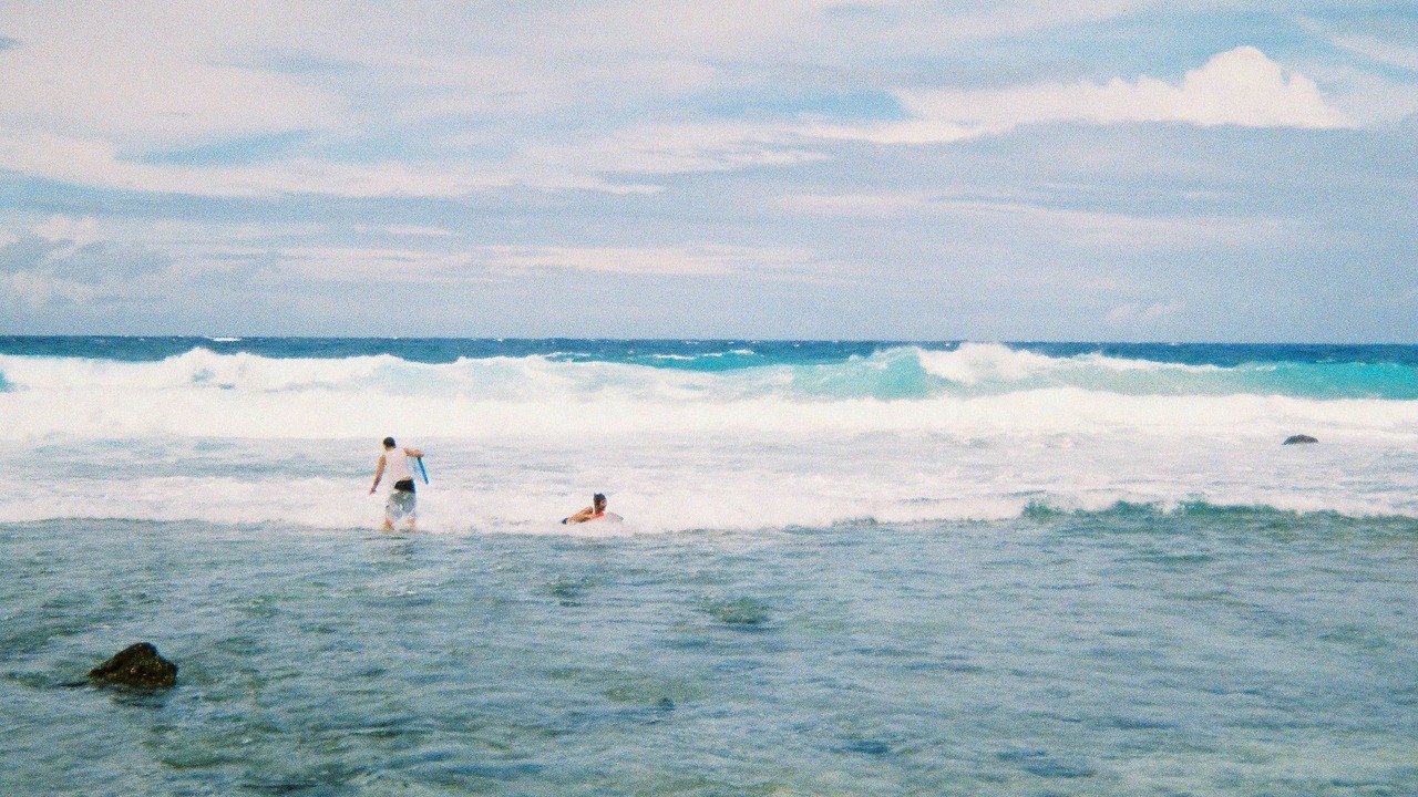 Photo of Others in Rarotonga