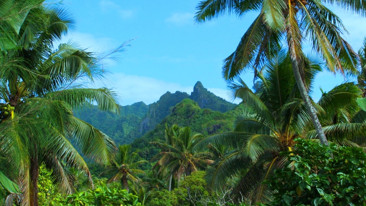Photo of Others in Rarotonga
