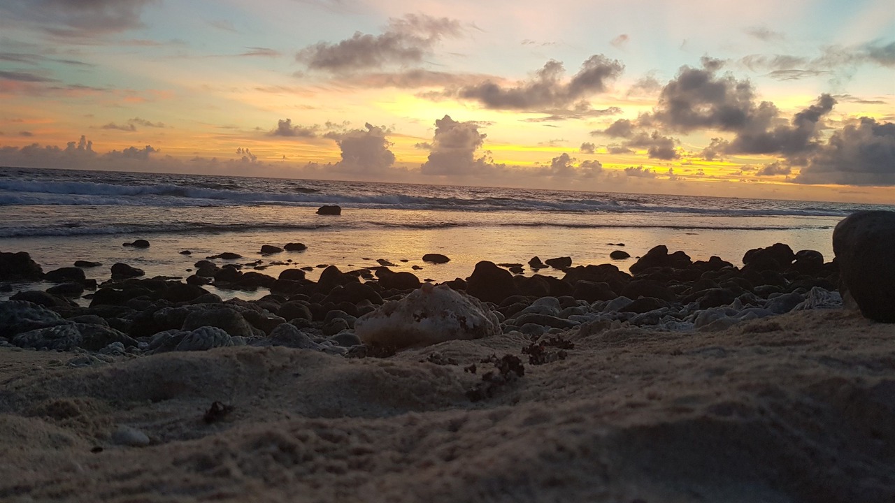 Photo of Others in Rarotonga