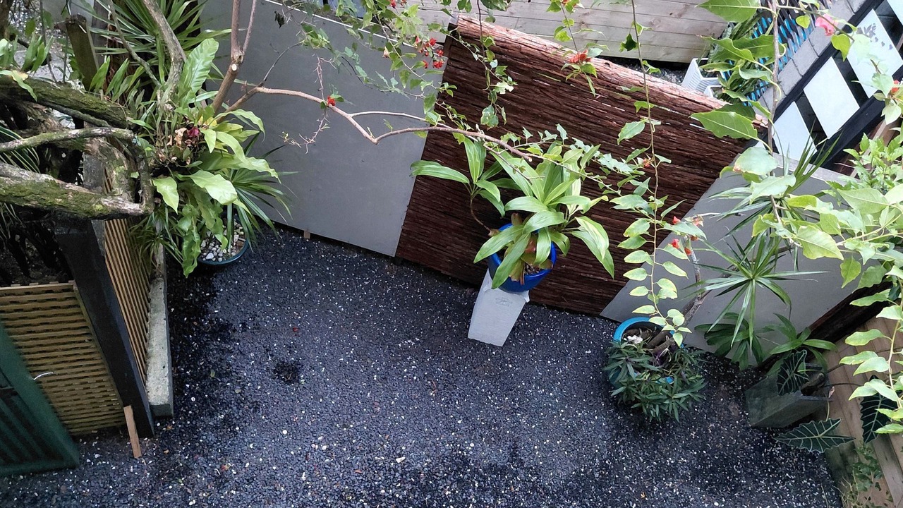 Photo of Outdoor in Kiikii Tapere