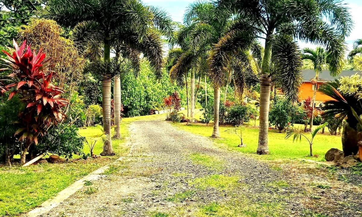 Photo of Outdoor in Arorangi