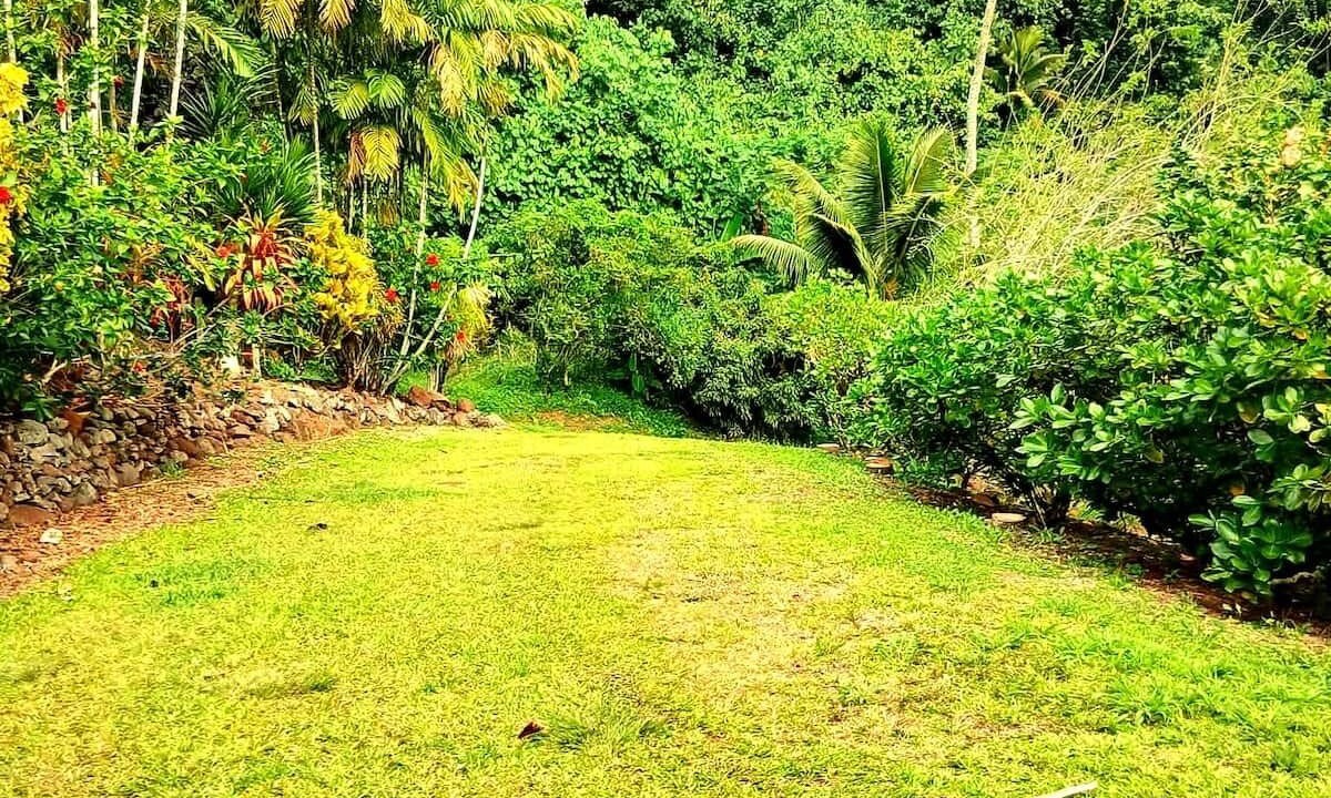 Photo of Outdoor in Arorangi