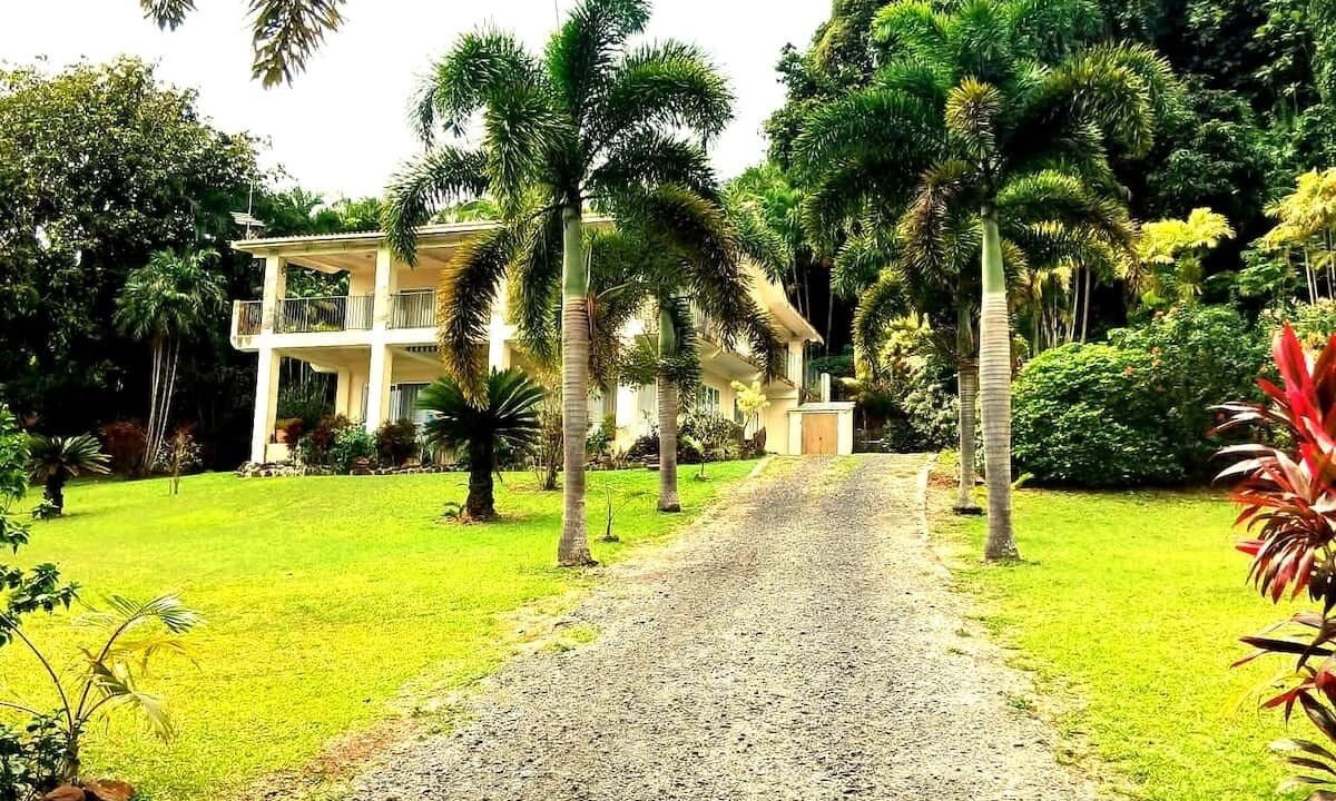 Photo of Outdoor in Arorangi