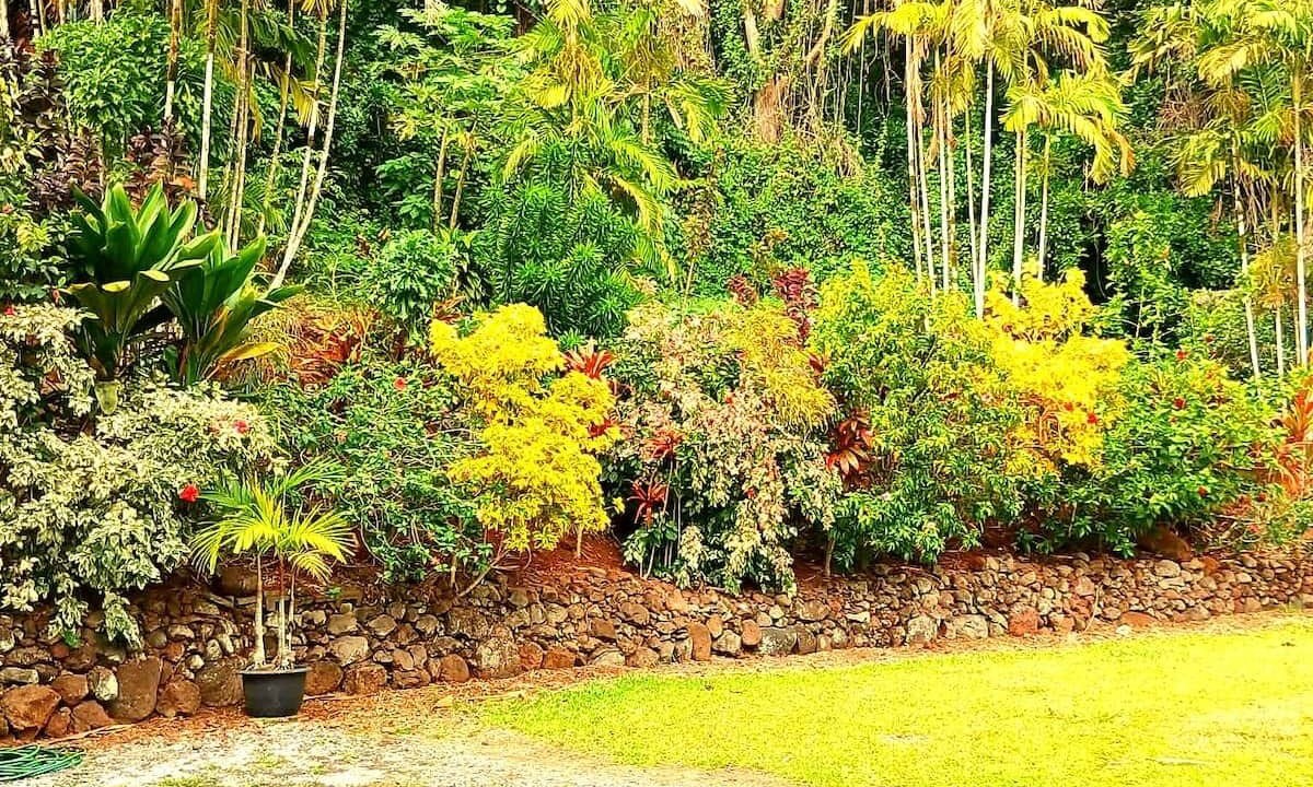 Photo of Outdoor in Arorangi