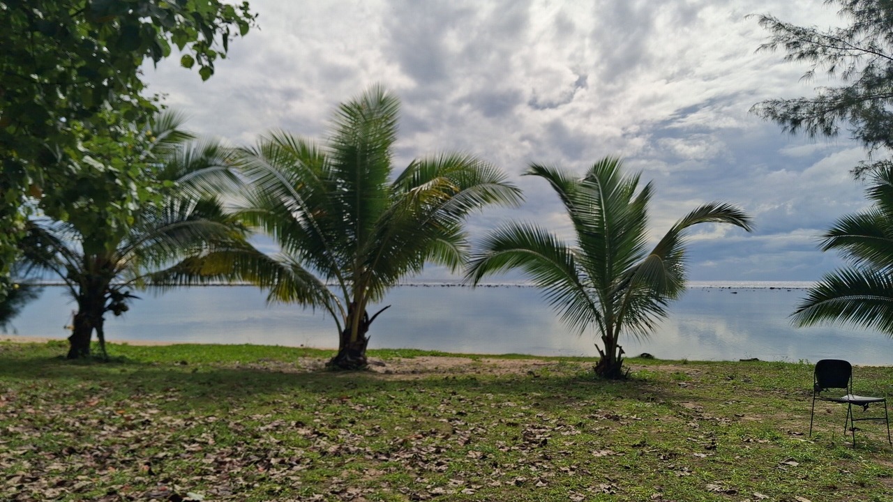 Photo of Outdoor in Nikao Tapere
