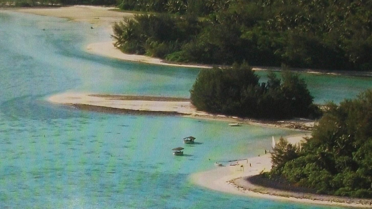 Photo of Others in Rarotonga