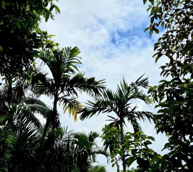 Photo of Others in Matavera