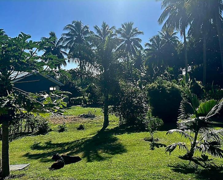 Photo of Others in Matavera
