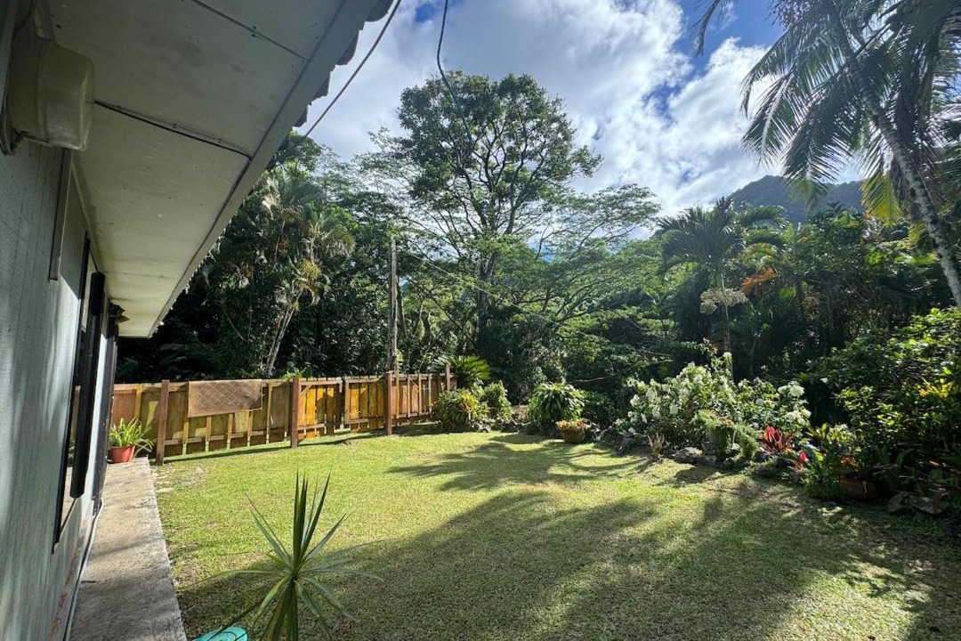 Photo of Others in Rarotonga
