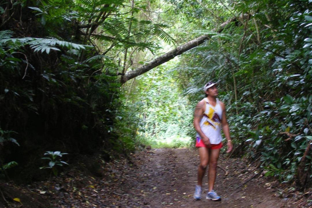 Photo of Others in Turangi Tapere