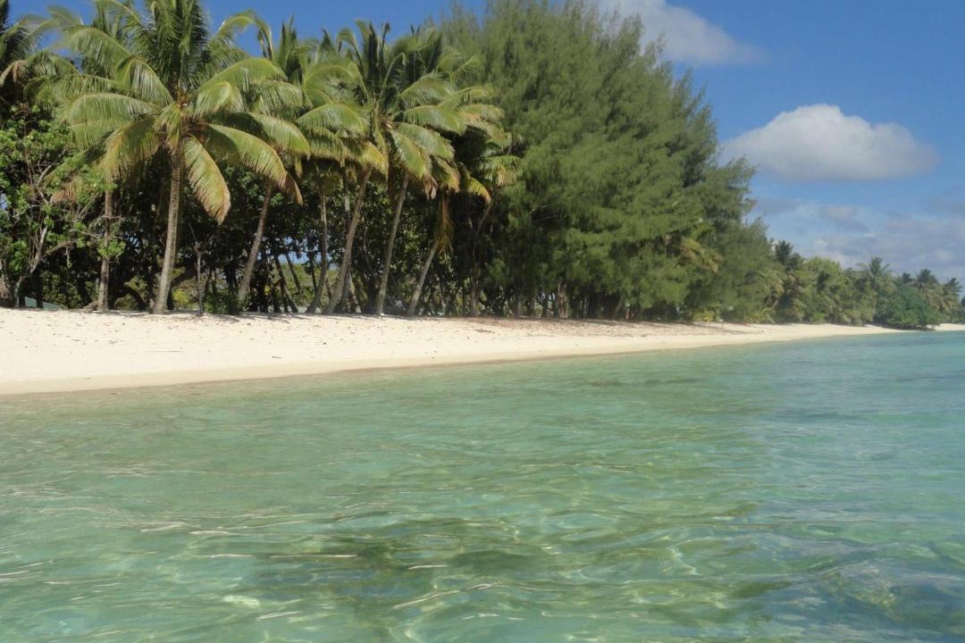 Photo of Others in Rarotonga