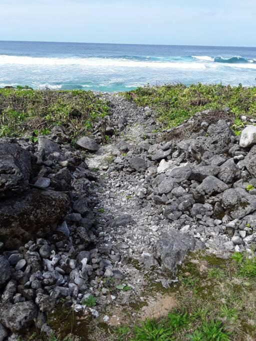 Photo of Others in Rarotonga