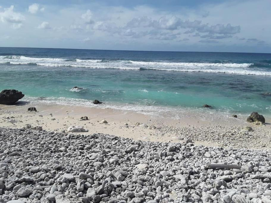 Photo of Others in Rarotonga