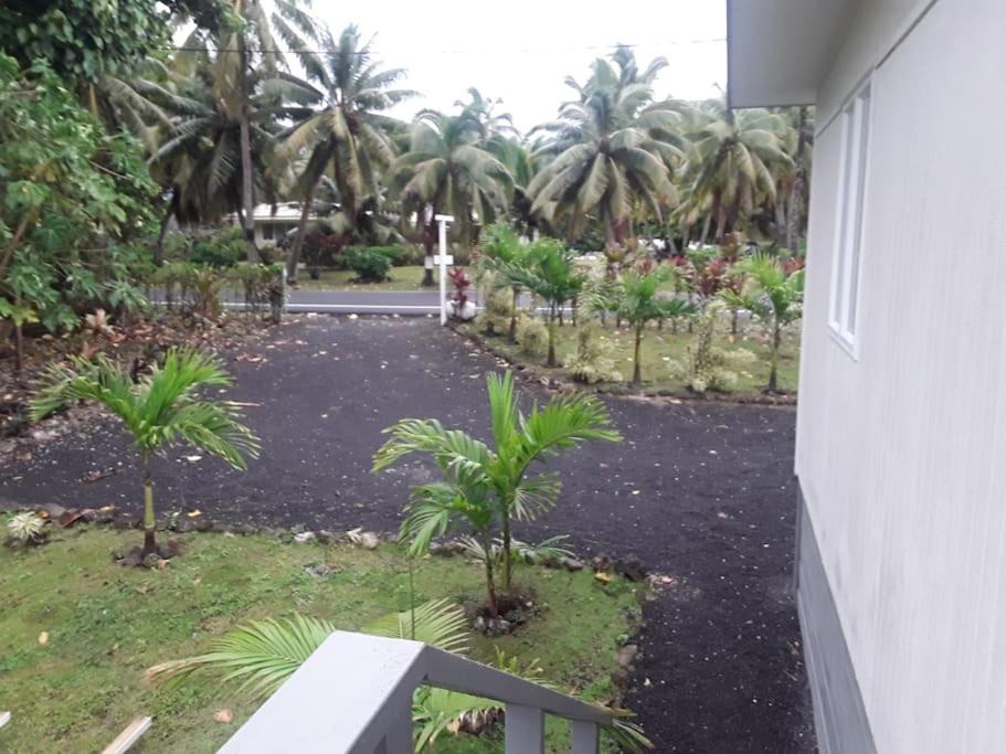 Photo of Others in Rarotonga