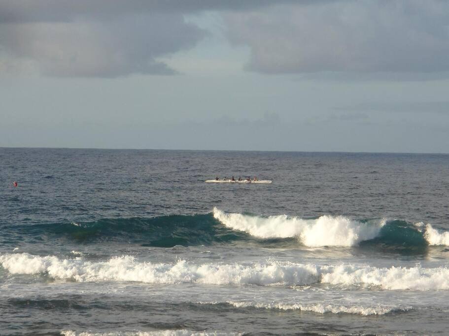 Photo of Others in Rarotonga