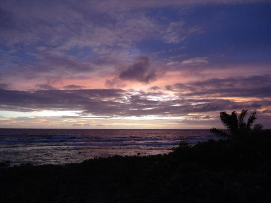 Photo of Others in Rarotonga
