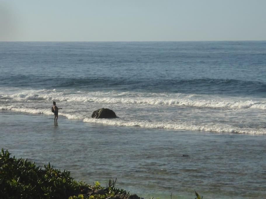 Photo of Others in Rarotonga