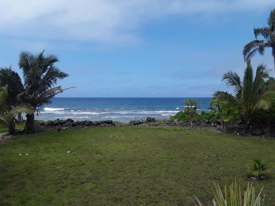 Photo of Others in Rarotonga