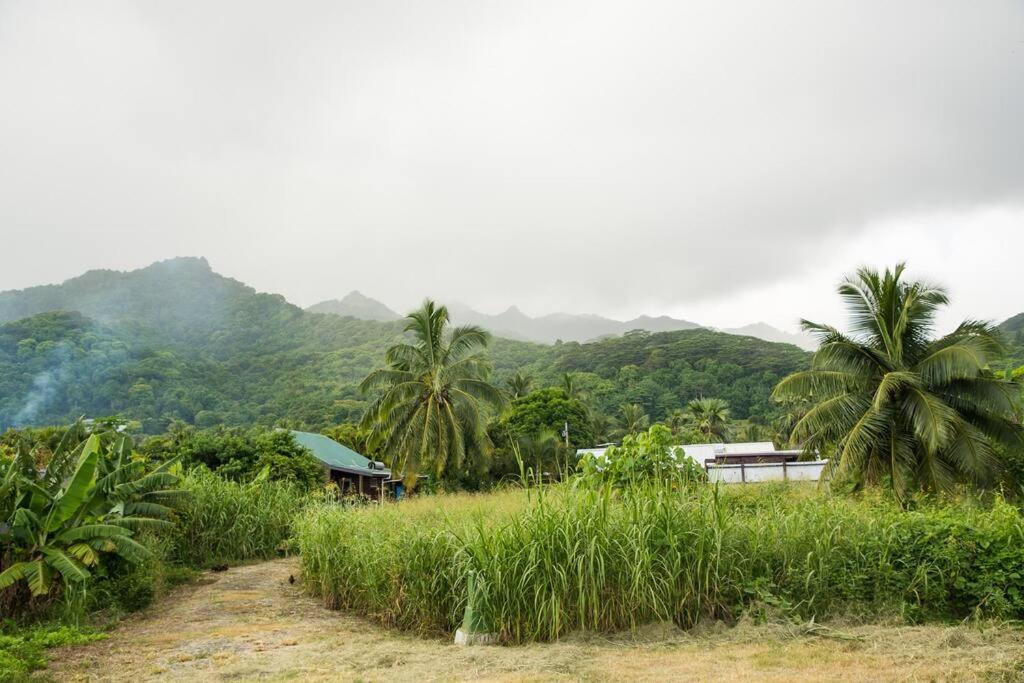 Photo of Others in Rarotonga
