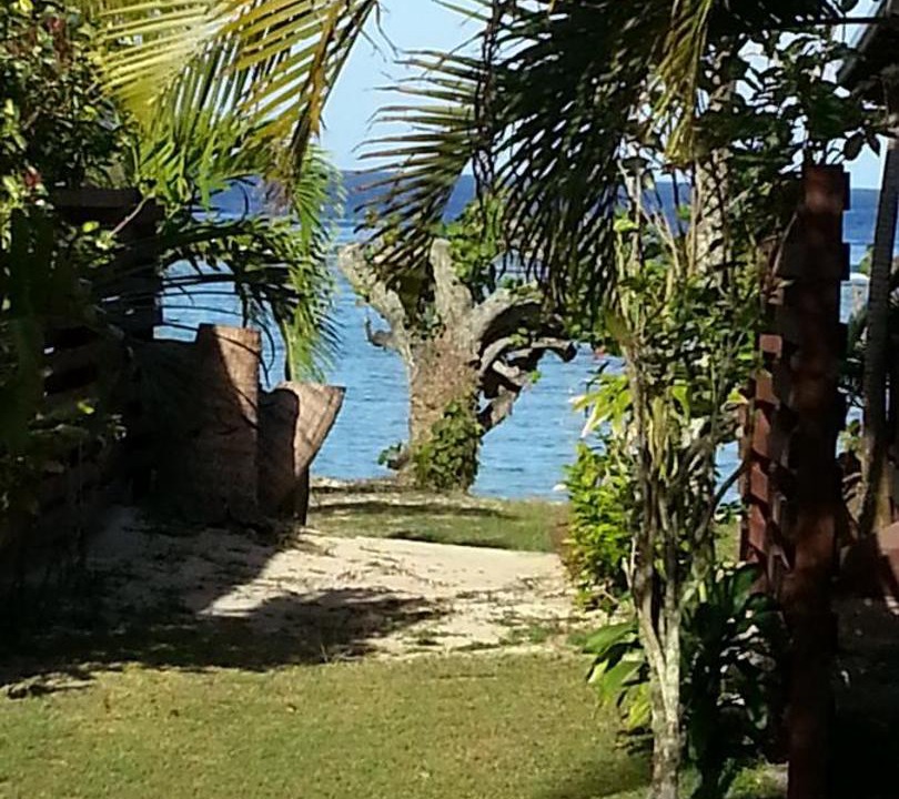 Photo of Others in Arorangi