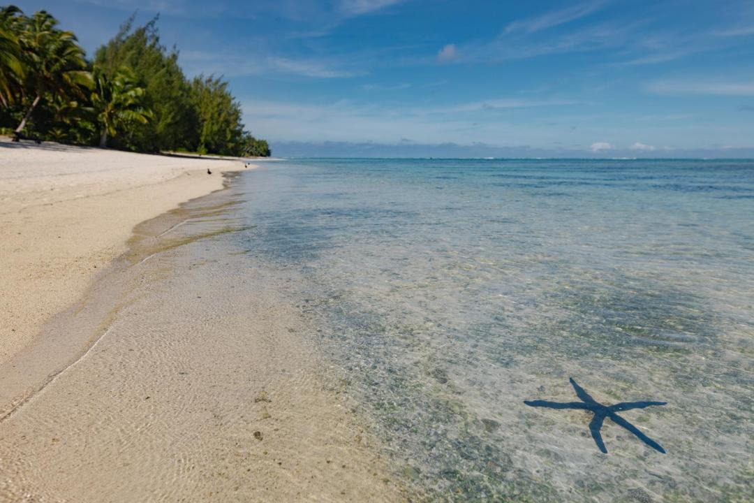 Photo of Others in Aitutaki