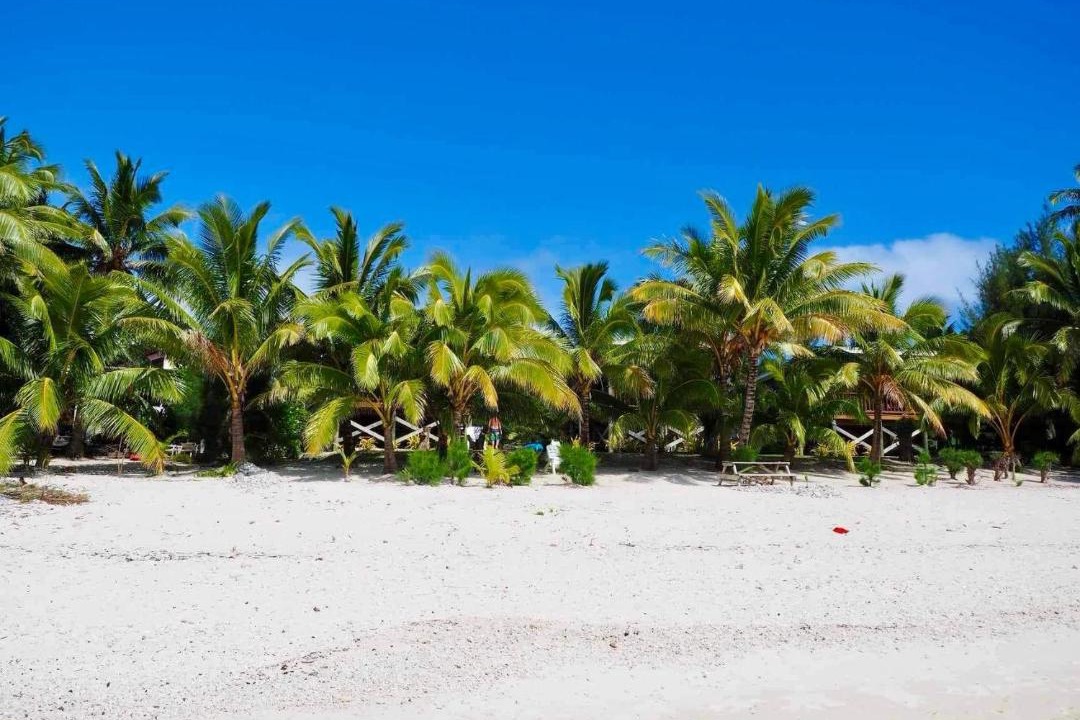 Photo of Others in Rarotonga