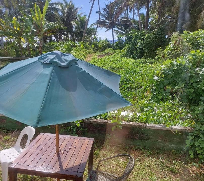 Photo of Others in Rarotonga