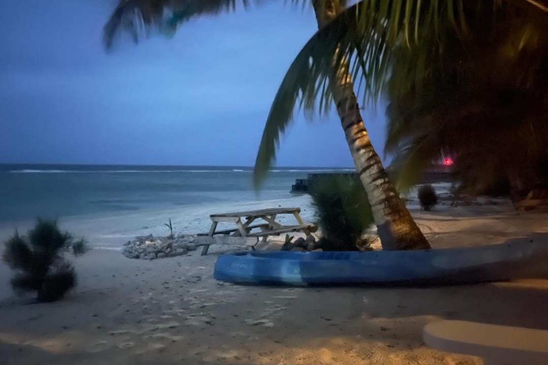 Photo of Others in Rarotonga