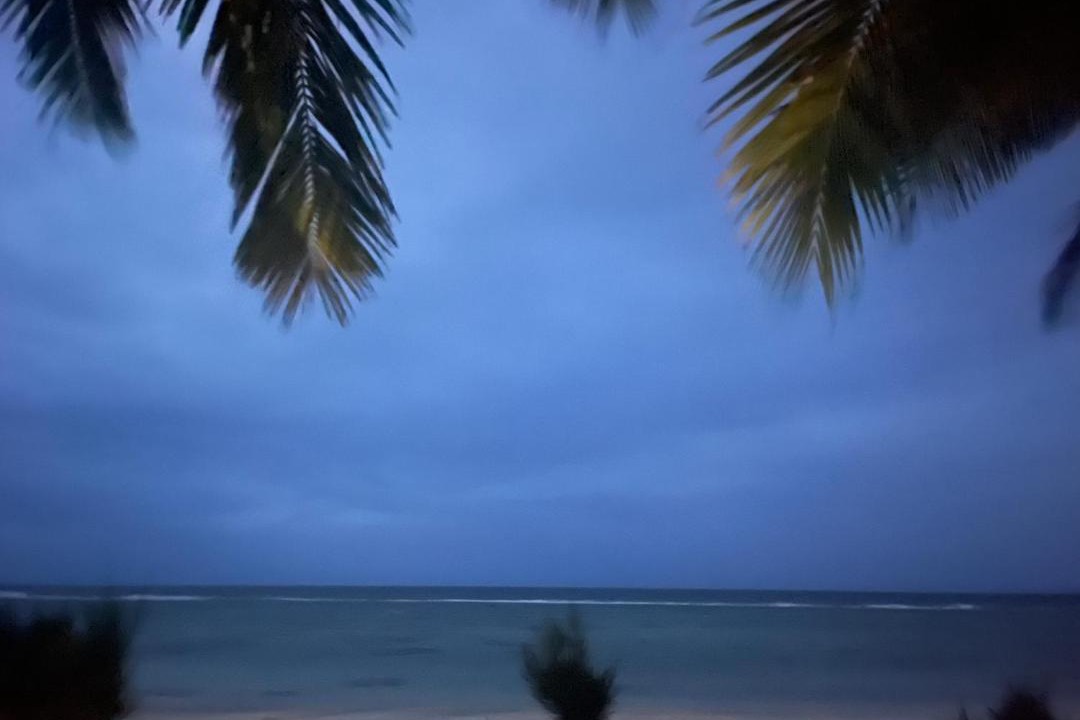 Photo of Others in Rarotonga