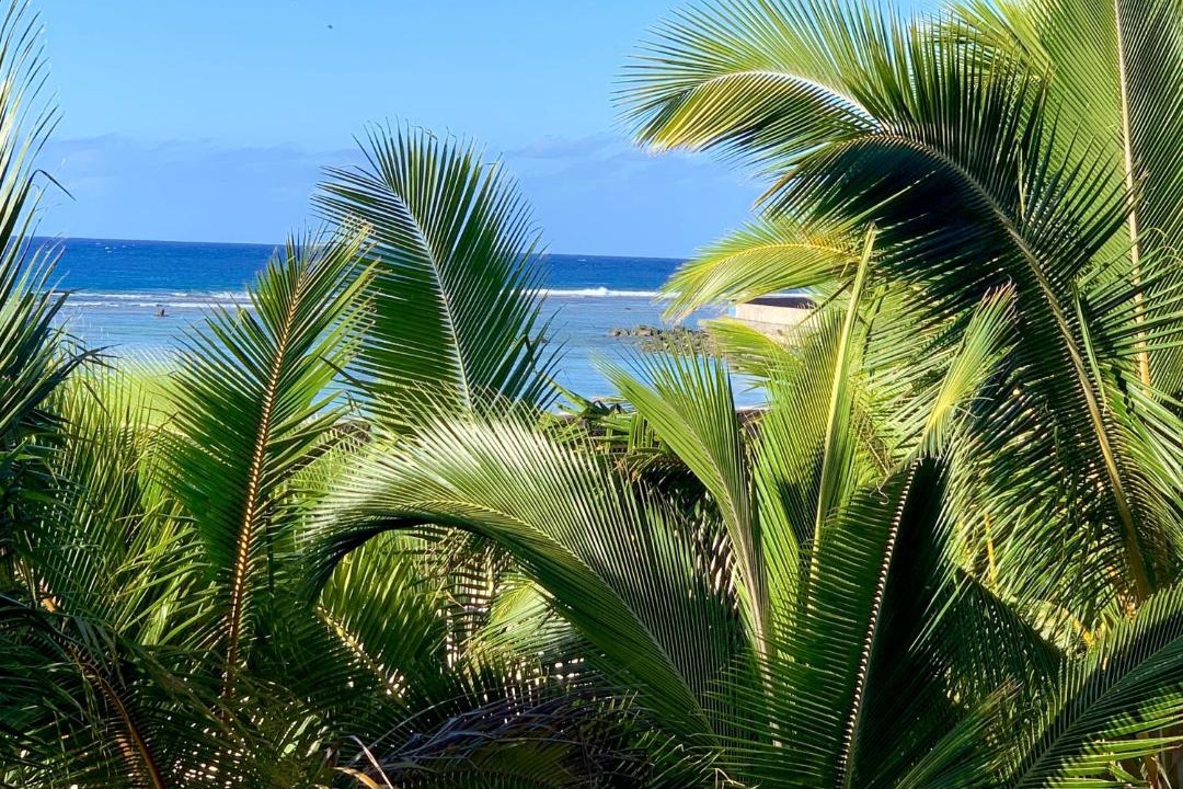 Photo of Others in Rarotonga