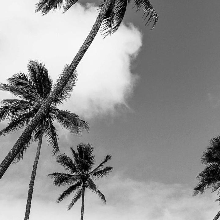 Photo of Others in Rarotonga