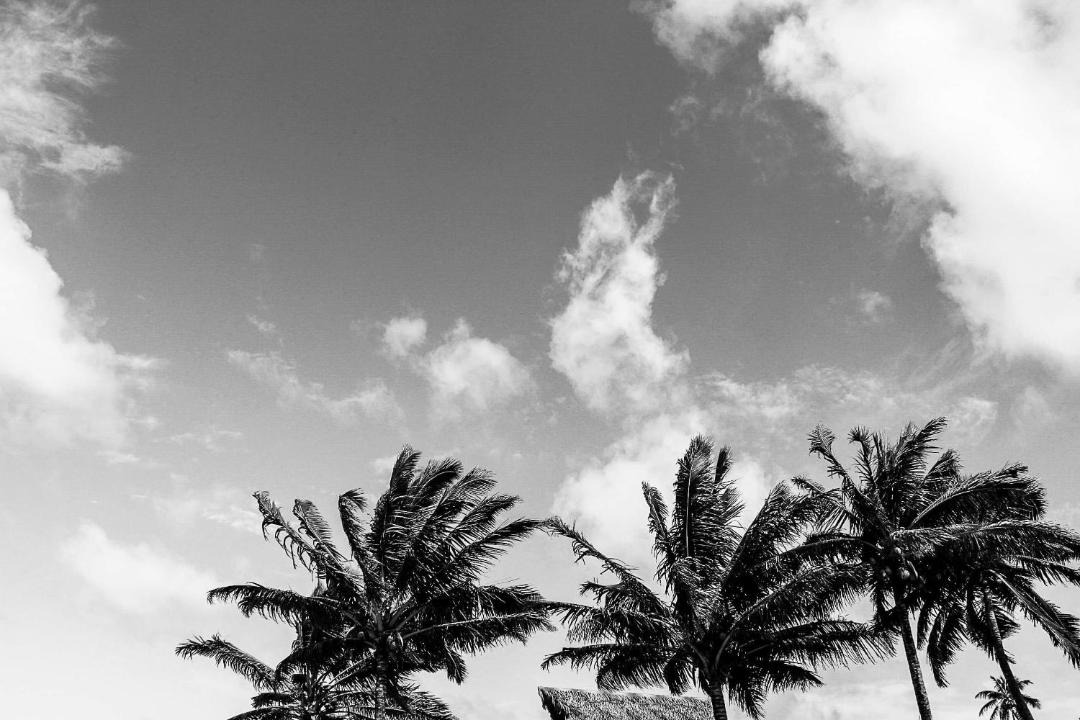 Photo of Others in Rarotonga