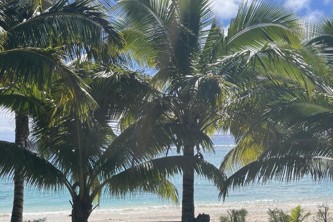 Photo of Others in Rarotonga