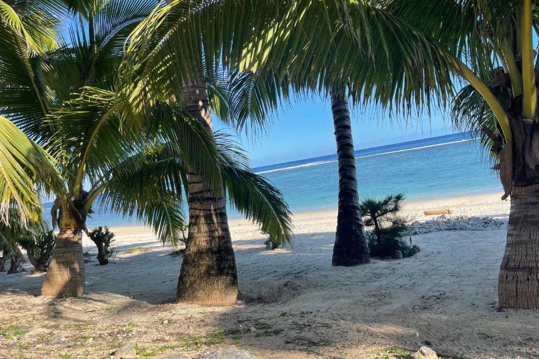 Photo of Others in Rarotonga