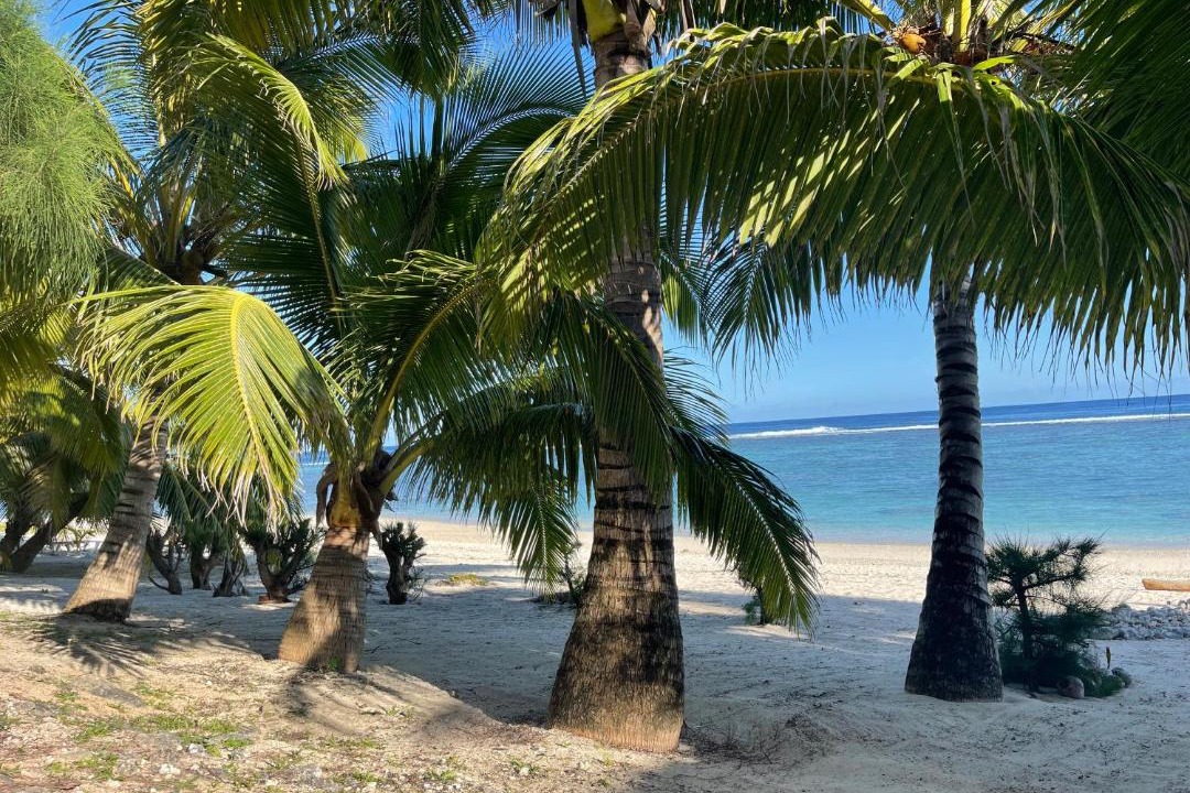 Photo of Others in Rarotonga