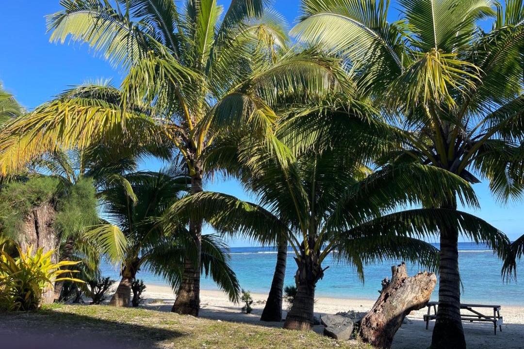 Photo of Others in Rarotonga