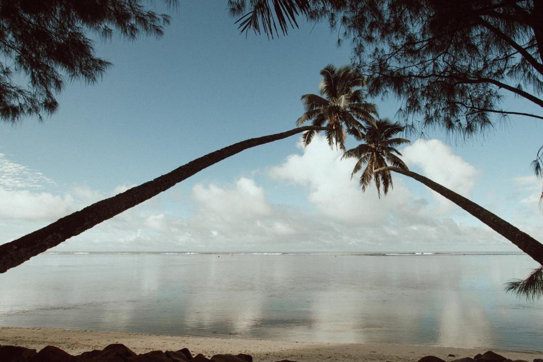 Photo of Others in Tapere of Vaimaanga