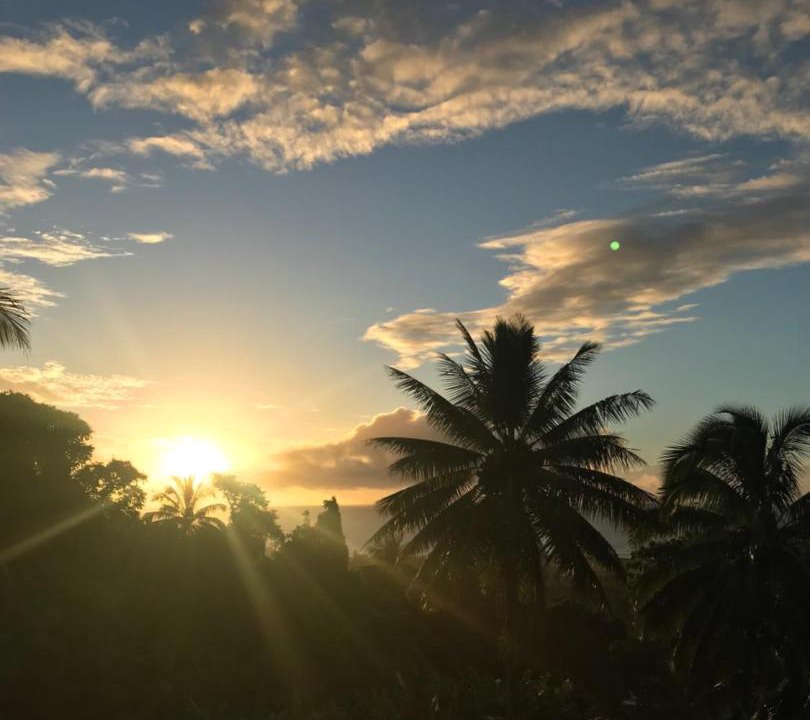 Photo of Others in Nikao Tapere