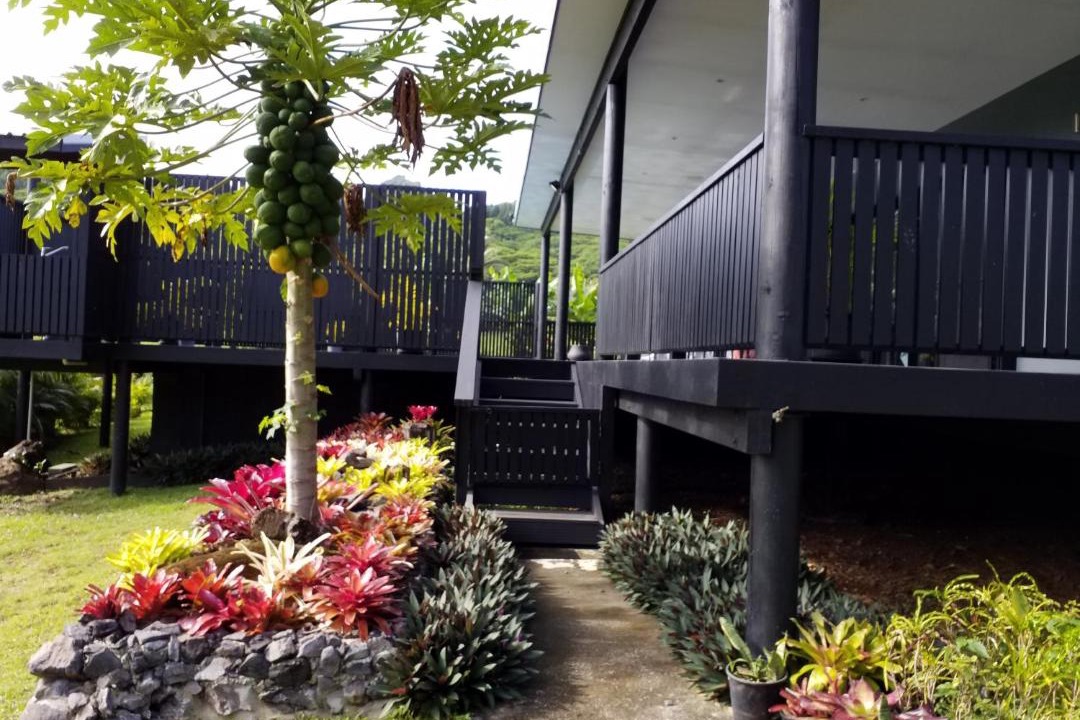 Photo of Others in Rarotonga