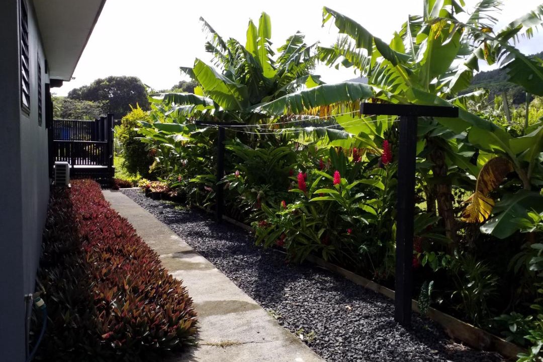 Photo of Others in Rarotonga