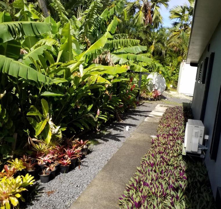 Photo of Others in Rarotonga
