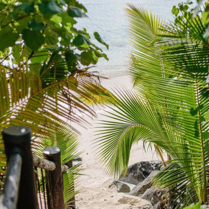 Photo of Others in Aitutaki