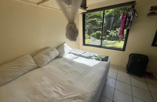 Rarotonga House | Mama Cat's Accommodation