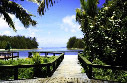Muri Villa | Little Oneroa